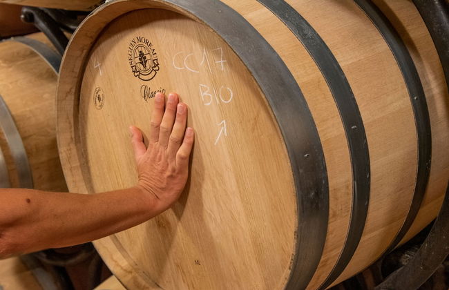 Castello La Leccia - Foto 35