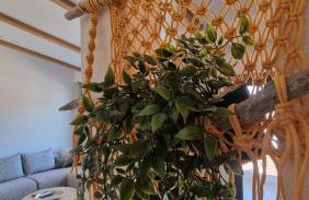 Aelio apartment - Photo 9