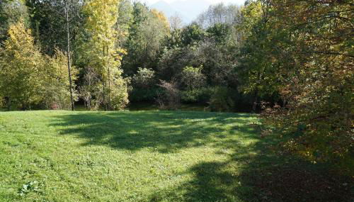 Ferienwohnungen Bachblick - Foto 2, Garden