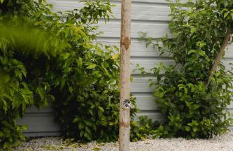 A Casa do Pomar - Foto 8