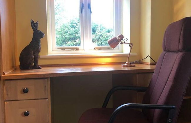 Sunshine Annex-double Bed,ensuite, Lounge, Kitchen - Foto 3