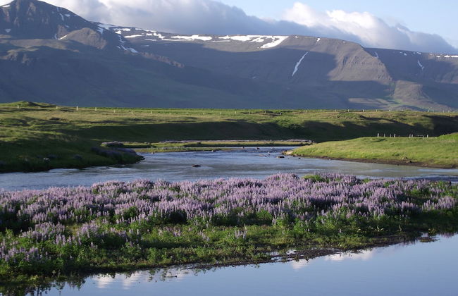 Hotel Laxarbakki - Photo 68