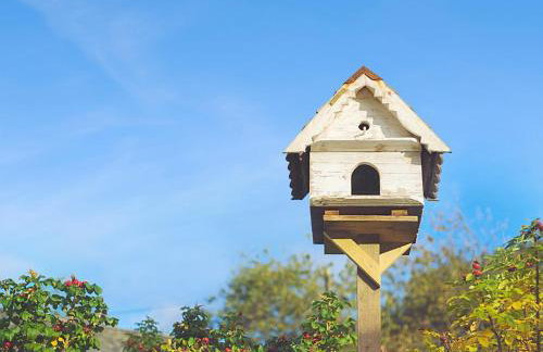 Bratton Mill Farmhouse Bratton Fleming - Foto 29