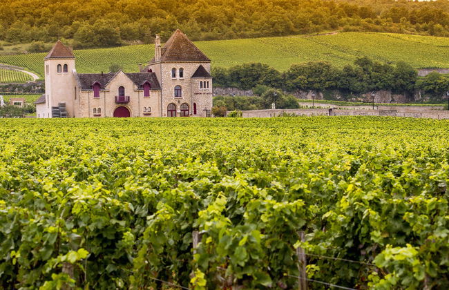 Bélesta Vineyards Jeep Tour - Photo 1