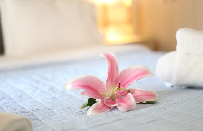 Athens Morum City Apartments - Foto 14