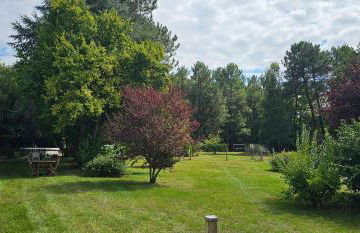 Le haras de gus et lulu - Foto 12