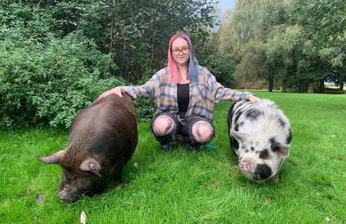 Starry Meadow & Rescued Animal Experiences - Foto 60