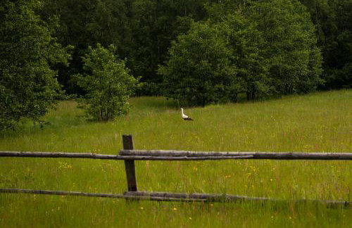 'chata usÓwek' - Foto 10