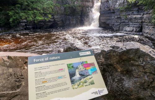 Forestside View - Photo 68