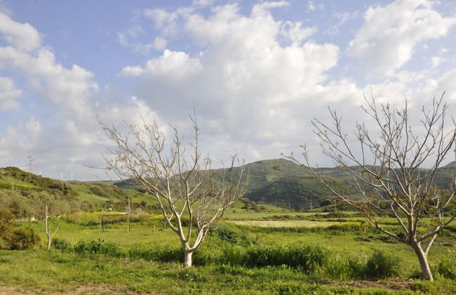 Agriturismo Sa Tanca Noa - Photo 52