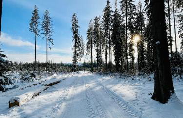 Agroturystyka Pod Modrzewiem - Babia Góra - Foto 19