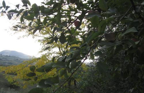 Casa l'Arcobaleno - Foto 19