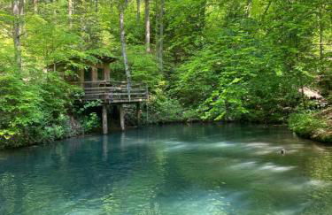 Ferienwohnung Müsen, nah an der Natur - Foto 25