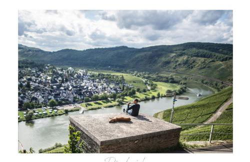 Ferienweingut Lütz - Foto 10