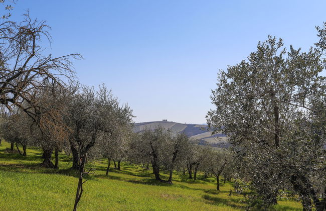 Podere San Raffaele - Cinzia - Foto 16