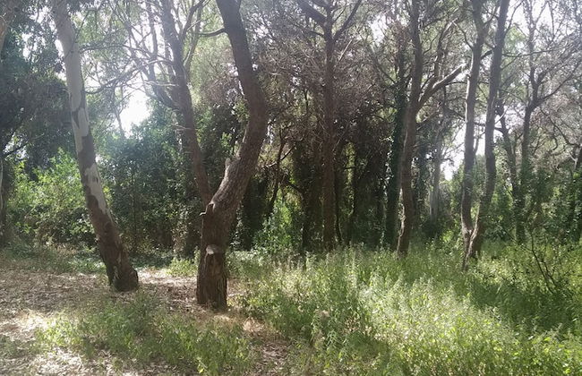 Apartment With Garden Close To The Beach - Foto 18