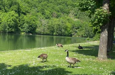 gîte de l'ardoise - Foto 14