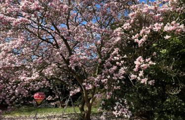 DoKoMi Düsseldorf Köln 5 Pers Appartement mit Terrasse big TV - Photo 11