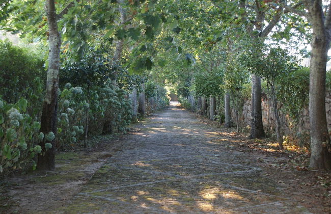 Casa da Lage - Foto 14