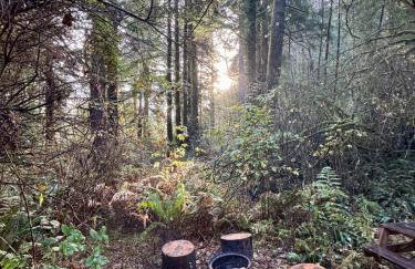 The Mossy Hideout Cabin - Foto 9