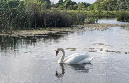 Gosling Lodge - Foto 19