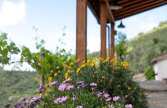 Podere del Pari - Foto 39