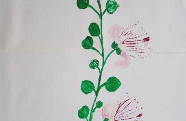 Casa del Nespolo - Foto 12