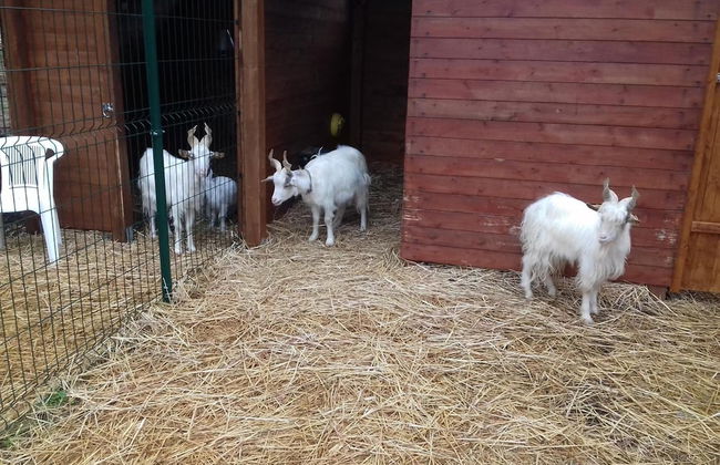 Agriturismo Specchiarussa - Foto 37