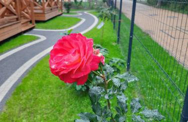 Osada Międzywodzie - Foto 63