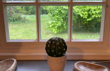 Reetdachhaus am See Ostfriesland - Foto 31