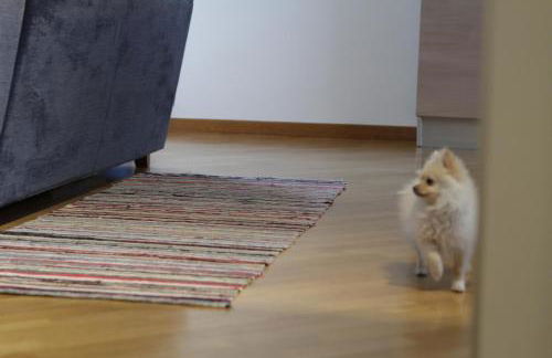 Sapore Di Mare - Foto 13