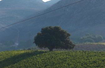 Agriturismo Al Poggetto - Foto 100