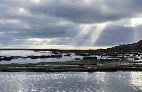 2 Dorset Mews - Photo 18