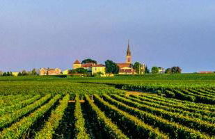 Maison piscine 4 ch Carcans Médoc Bassin Arcachon - Foto 52