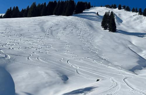 Angelas Ferienwohnungen Oberstaufen - Foto 43