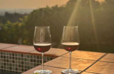 Lezíria Houses - Ribatejo - Foto 54