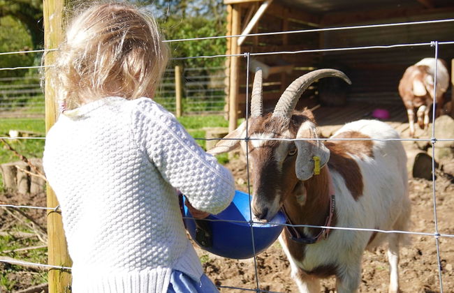 3-bed Cottage - Sleeps 5, Riverside, Hot Tub, Pets - Foto 33