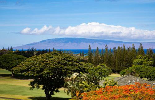 Kapalua Golf Villas 2 Free cars KBM Resorts Large Bedrooms 2 Units 3 Bedrooms ML-2189 - Foto 22