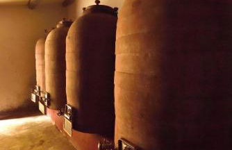 Masseria del Vino - Ciavolich Wine Estate - Foto 11