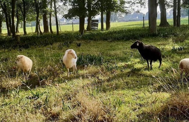 Château Côte de Nacre - Foto 66