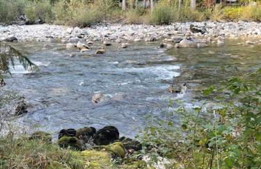 Mystic Ivy - Foto 12