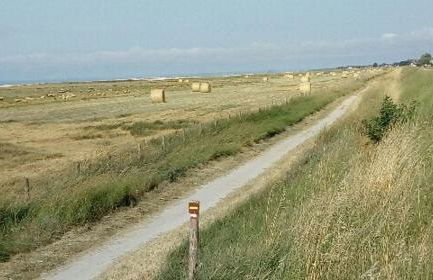 Chez Emile - Foto 48