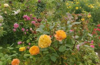 Holiday Apartment Sweden House - Foto 14