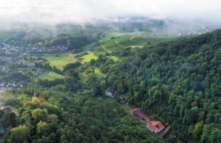 GASTHAUS Porzelt -Ferien im Weingut - Wohnung 2 - Foto 1