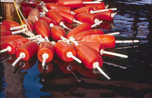 Owls Head Cottage at One Long Beach - Foto 42