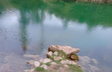 Apartman Milanko - Foto 45