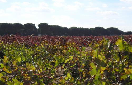 Casa Rural La Navarra - Foto 27