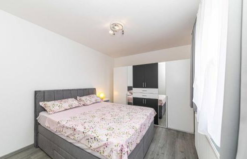 Awesome Home In Ricice With Sauna - Foto 24