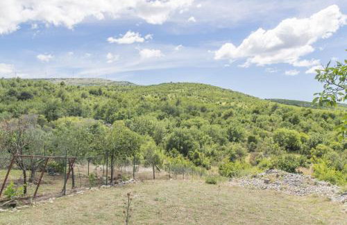 House Green Paradise - Photo 2