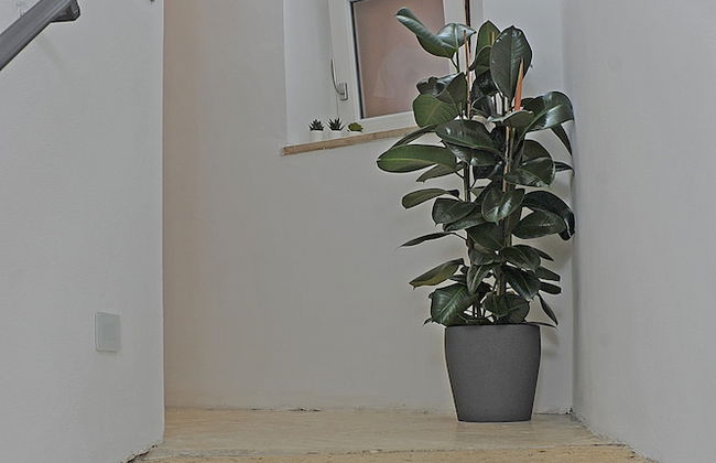 Mom Apartment Rooms&Suites - Foto 52